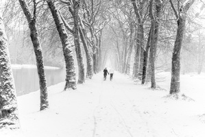 Fourcault-Thierry-Hiver4