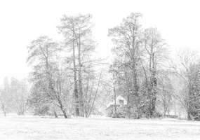 Fourcault-Thierry-Hiver5