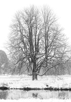 Fourcault-Thierry-Hiver6
