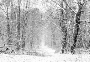 Fourcault-Thierry-Hiver8
