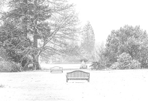 Fourcault-Thierry-Hiver10