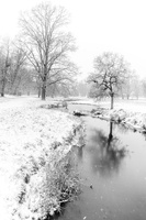 Fourcault-Thierry-Hiver3