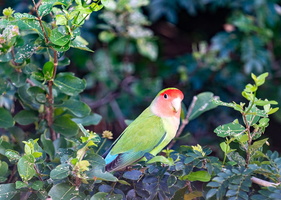 DSC00171