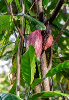 DSC06789