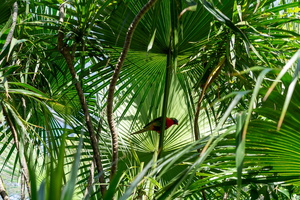DSC06860
