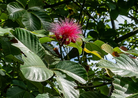 DSC06912