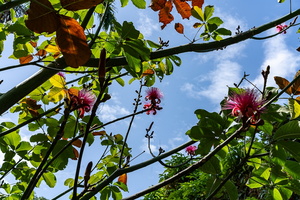 DSC06906