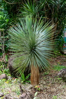 DSC06948